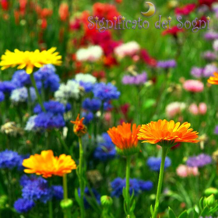 fiori in sogno significato